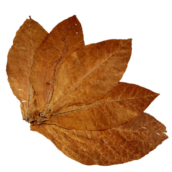 Burley Tabakblätter Rohtabak 8kg