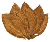 Orient Samsoun Rohtabakblätter für die...