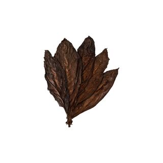 Kentucky Very Smoked Rohtabakbltter fr die Herstellung von Dekoration und Duftartikeln.