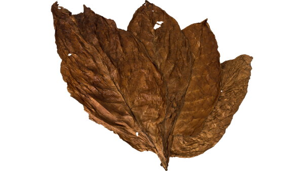 Burley Honey Stringed Tabakblätter Rohtabak 3kg