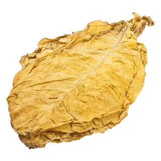 Virginia Gold Tabakblätter Rohtabak - 10kg