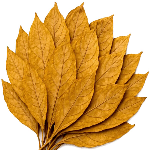 Virginia Orange Select Rohtabakblätter für die Herstellung von Dekoration und Duftartikeln.