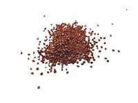 Tabaksamen Orient Baffra Basma