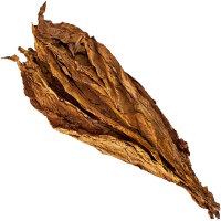 Burley Tennessee Rohtabak 3kg