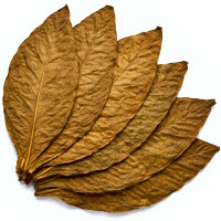 Orient Samsoun Select Rohtabak 2kg