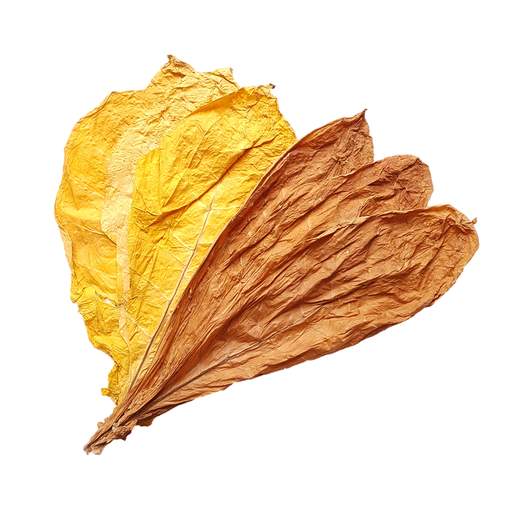 Tabakblätter Kaufen 1 Kg Virginia Und Burley 50/50 Mischung Rohtabak Blätter Duft & Deko Tabakblätter Vicky Victoria