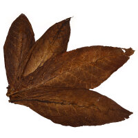 Kentucky Fire Cured Rohtabakblätter für die...