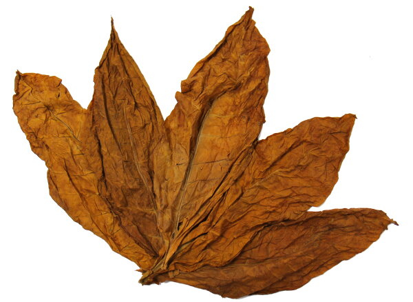 Orient Krumovgrad Rohtabakblätter für die Herstellung von Dekoration und Duftartikeln.